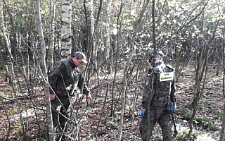 Kolejne niewybuchy znalezione w lesie. Grzybiarz odkrył pocisk artyleryjski i granaty
